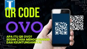 QR OVO