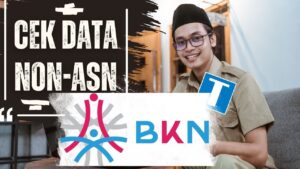 Cara Cek Data Non ASN BKN