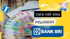 Cek Sisa Pinjaman BRI