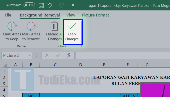 microsoft excel picture format remove background keep changes