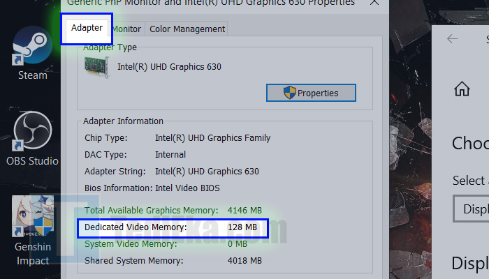 windows 10 adapter - dedicated video memory