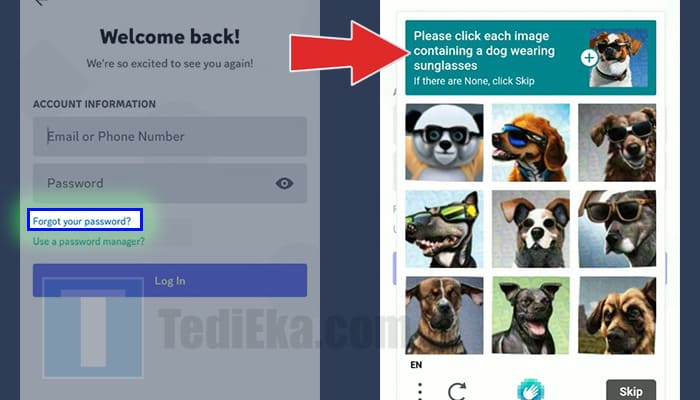 discord forgot your password