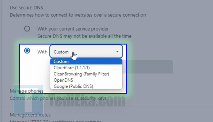 google chrome custom dns