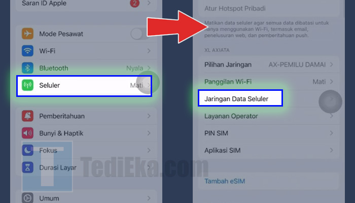 iphone seluler - jaringan data seluler