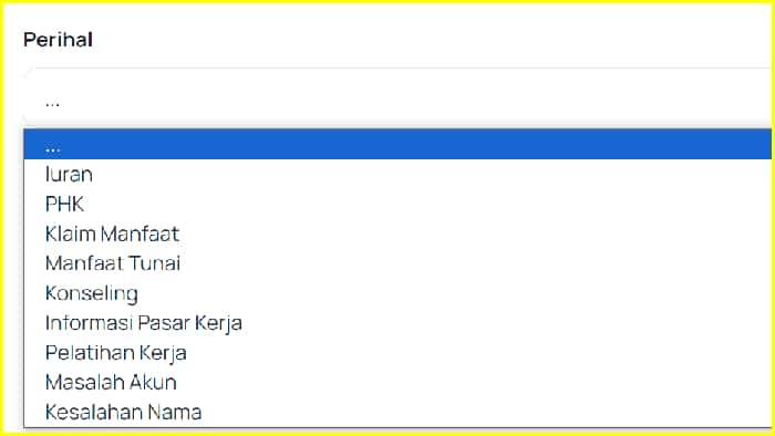 opsi perihal pada form pengaduan kemnaker