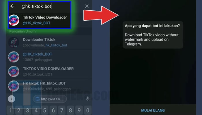 telegram hk tiktok bot - mulai ulang