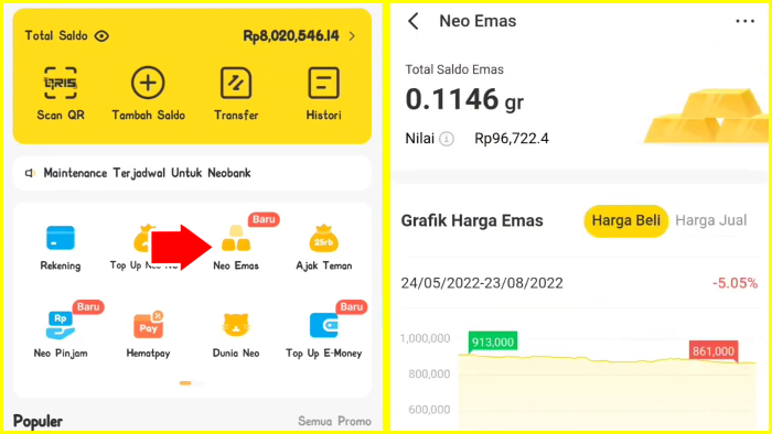 apakah neo bank bisa menghasilkan uang