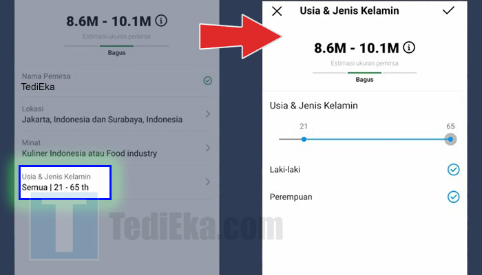 instagram ads usia dan jenis kelamin