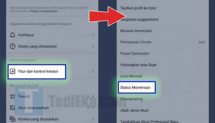 instagram fitur dan kontrol kreator - status monetasi