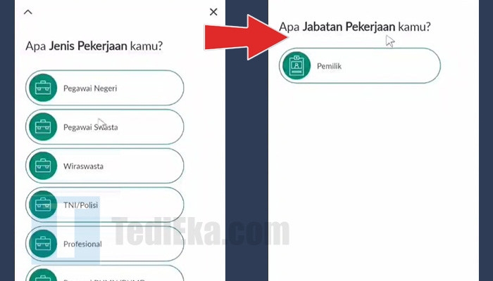 permatamobile x kartu kredit jenis pekerjaan - jabatan