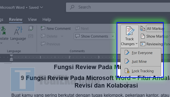 microsoft word review - track changes