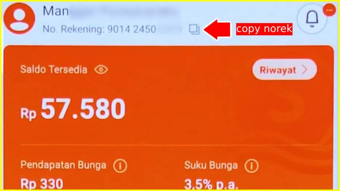 Tf ovo ke seabank tahap Salin Nomor Rekening Seabank