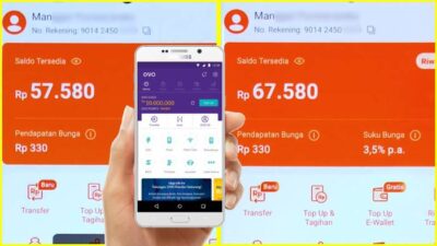 Cara Transfer OVO ke Seabank (Mudah + Biaya Terjangkau)