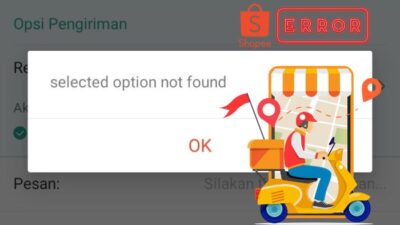 Selected Option Not Found Artinya (Penyebab + Cara Mengatasi)