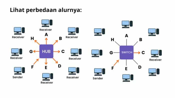 fungsi switch hub